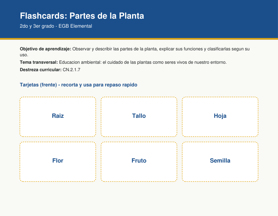 Vista previa de las flashcards de las partes de la planta para Ciencias Naturales de 2do y 3er grado de EGB