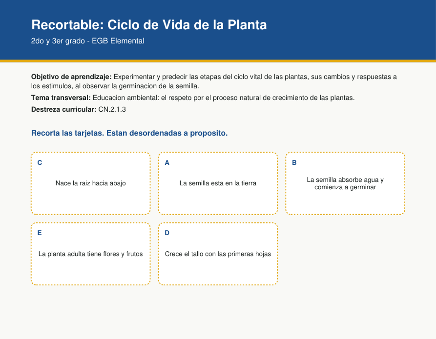 Vista previa del recortable de secuencia del ciclo de vida de la planta para Ciencias Naturales de 2do y 3er grado de EGB